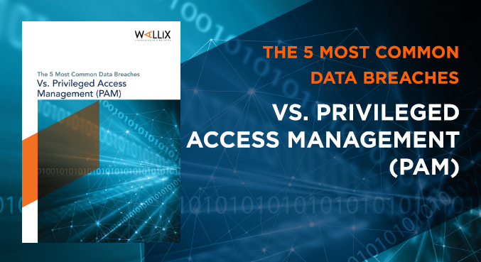 the-5-most-common-data-breaches-vs-pam-wallix